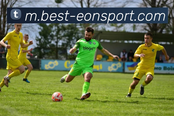 意昂体育平台生态图